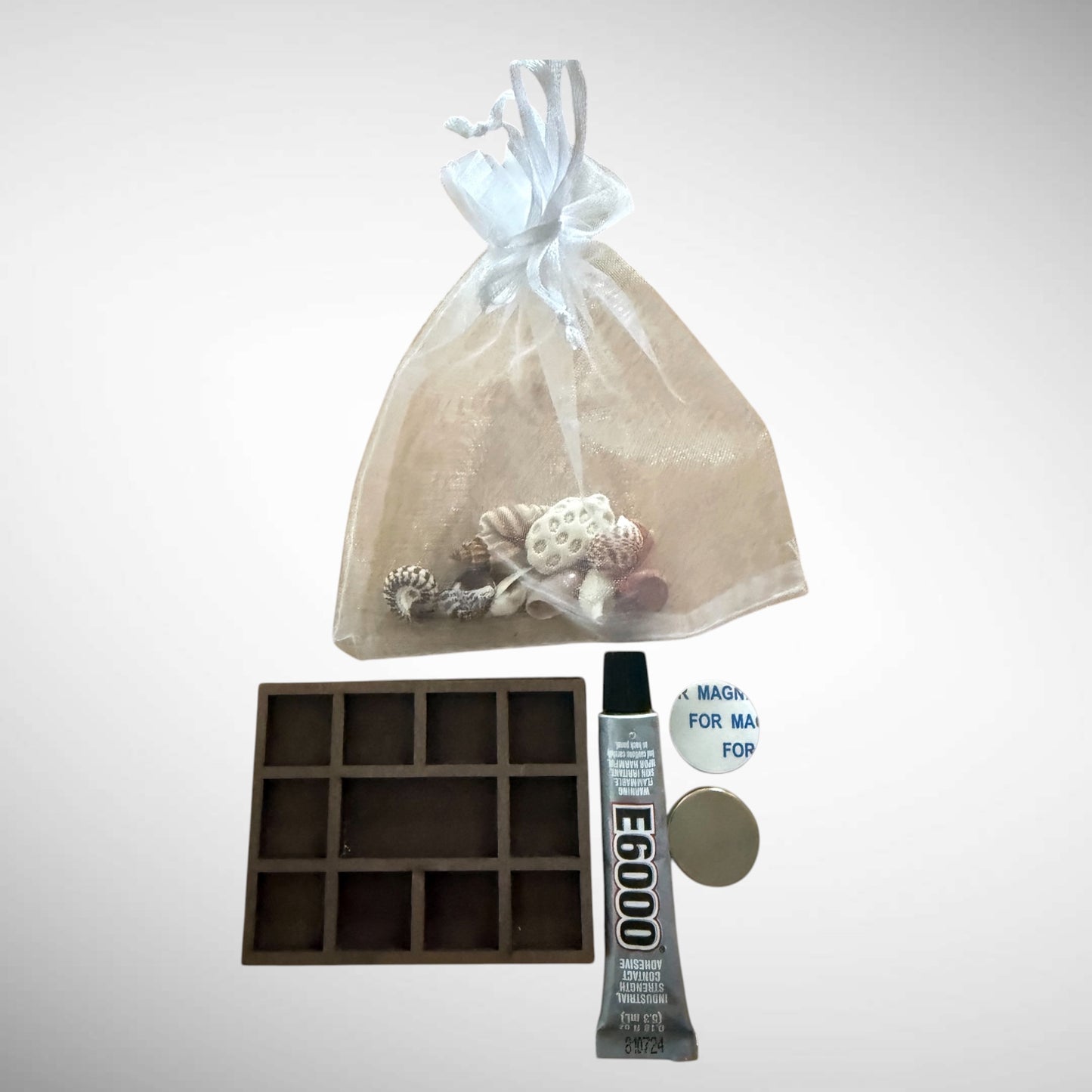 DIY kit Collection of mini seashells in curio cabinet