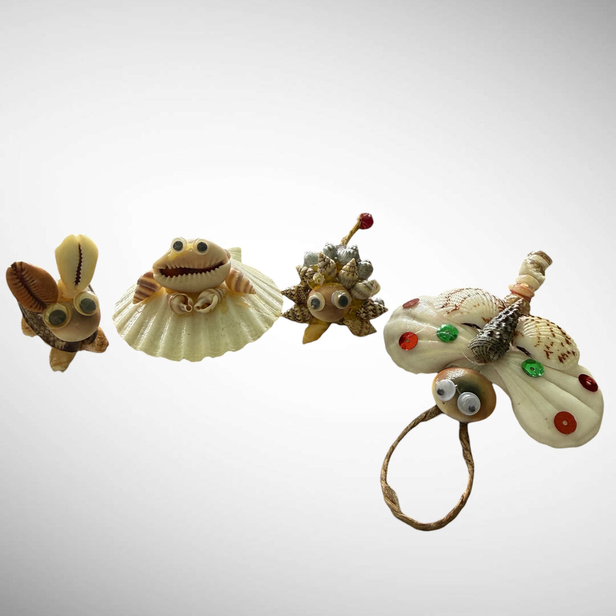 Seashells animals