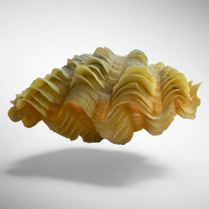 Yellow Ruffled Clam Shell Pairs
