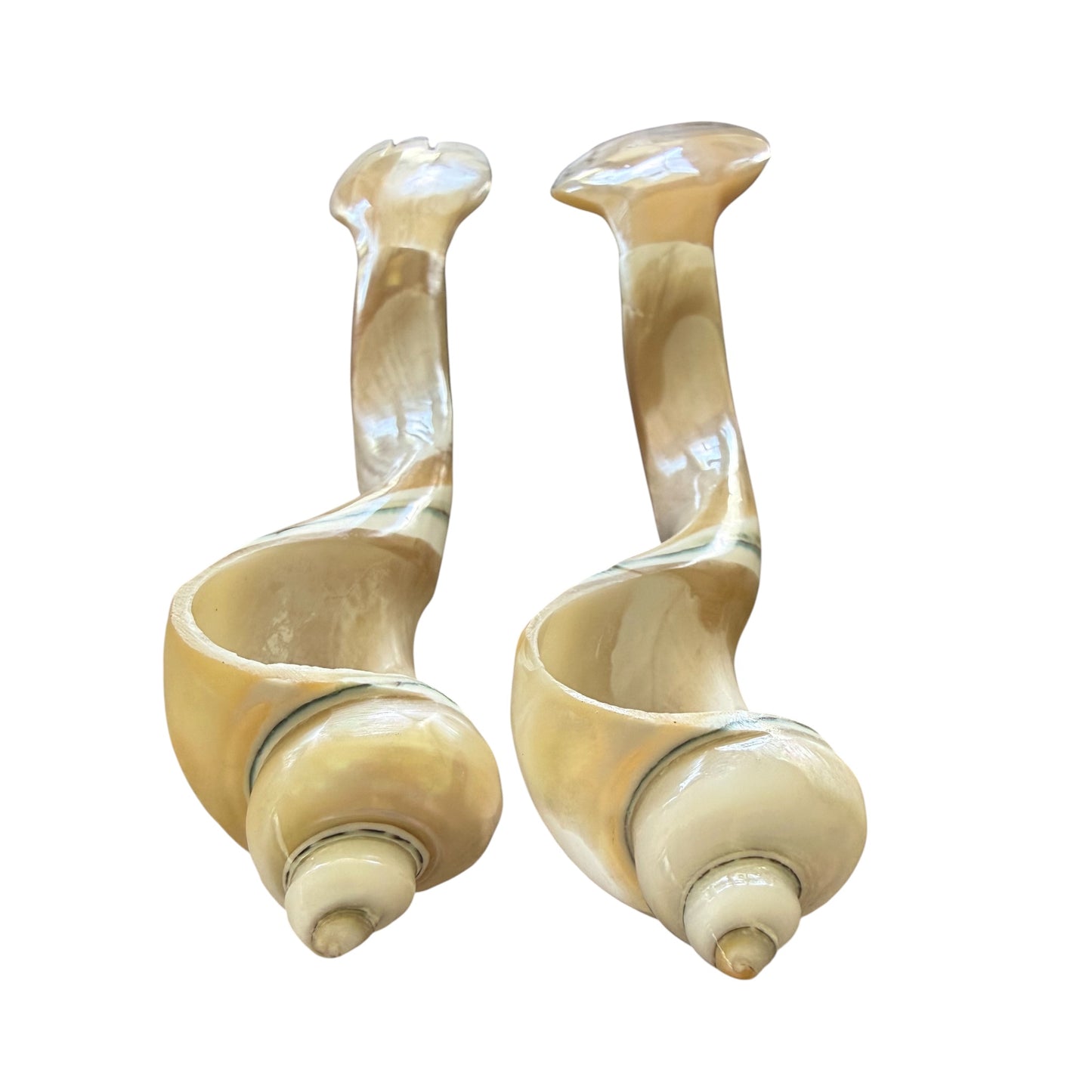 Mother of Pearl Utensils