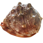 Cameo Red Mouth Helmet