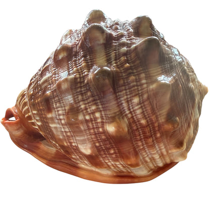Cameo Red Mouth Helmet