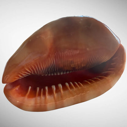 Cameo Red Mouth Helmet