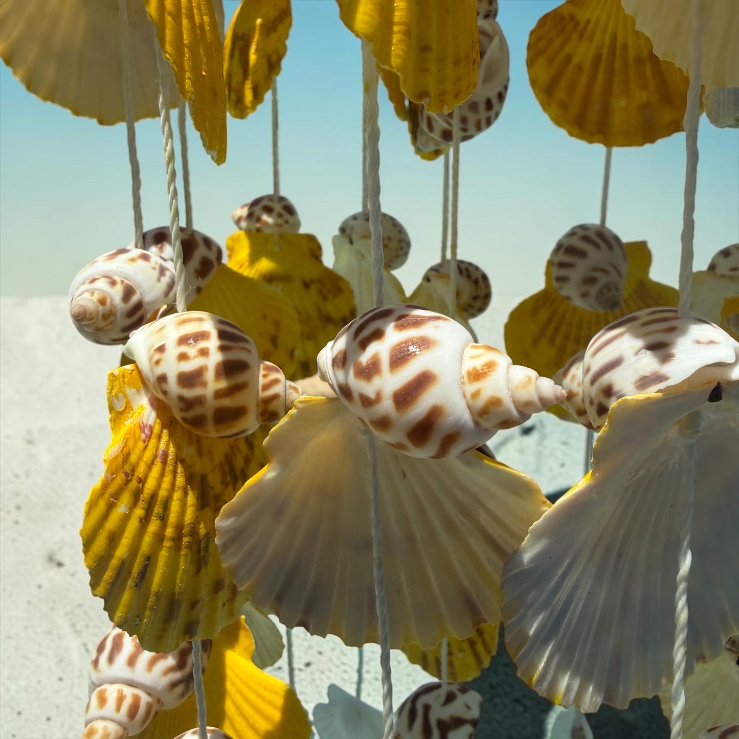 Seashells Wind Chimes