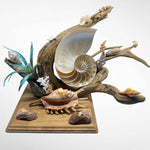 Chambered Nautilus and Driftwood sculpture