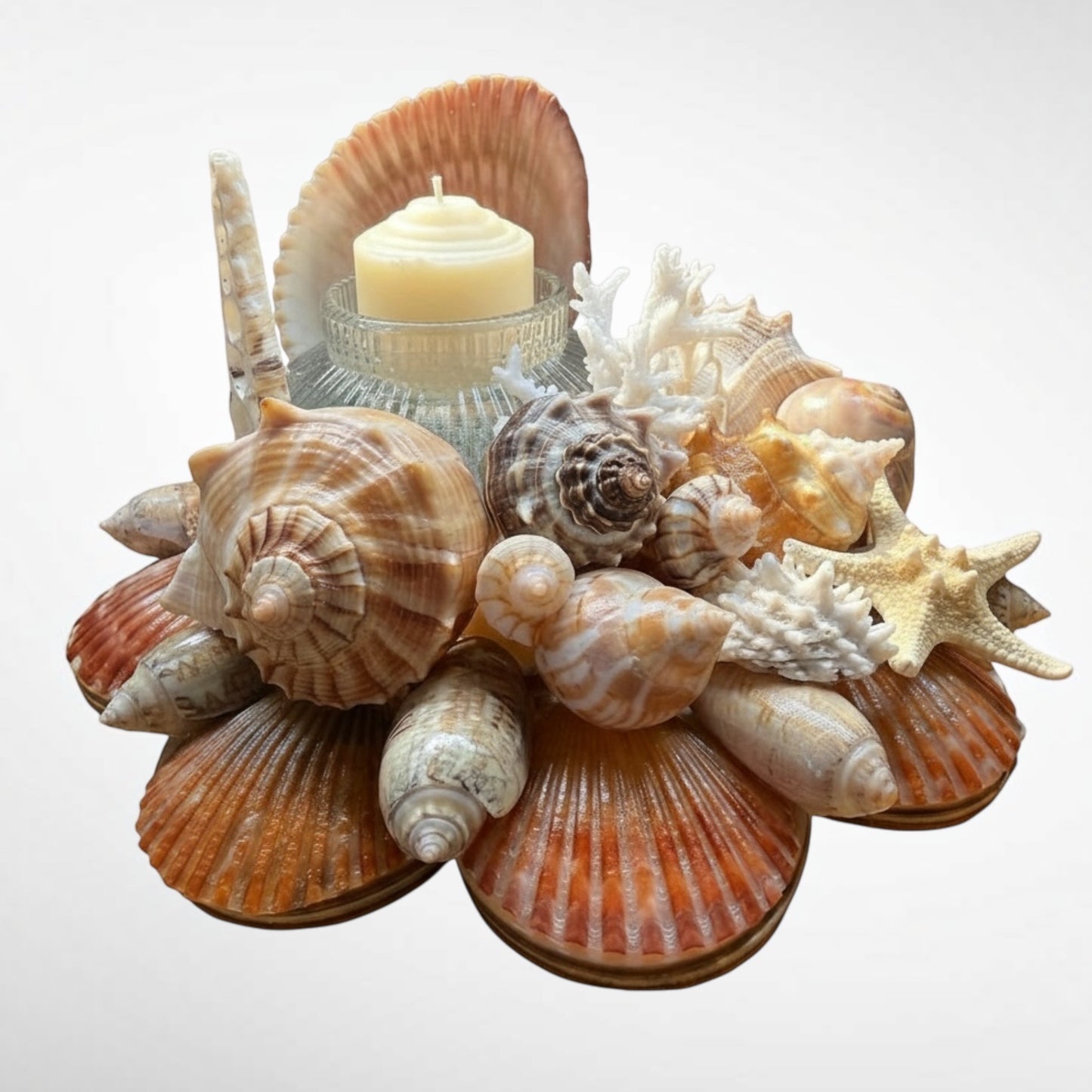 Seashells candle holder