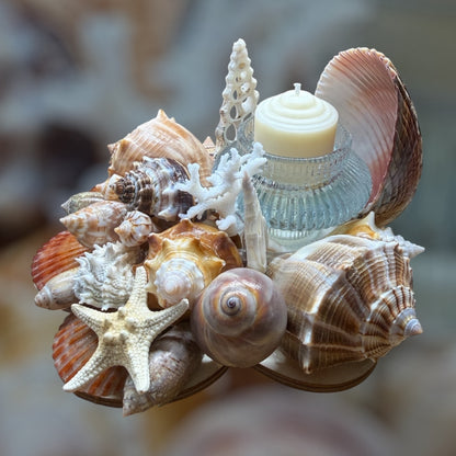 Seashells candle holder