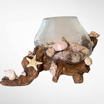 Glass vase with seashells on driftwood