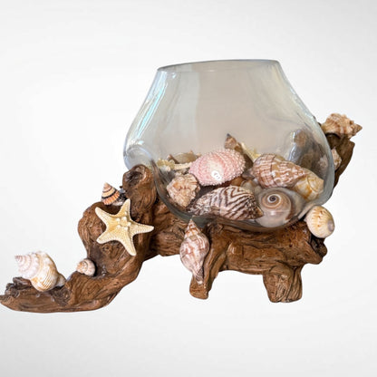 Glass vase with seashells on driftwood