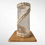 Glass vase with seashells ornaments