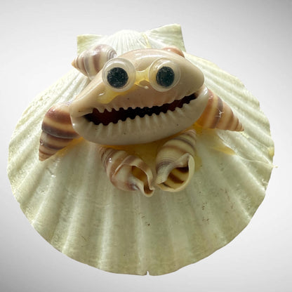 Seashells animals