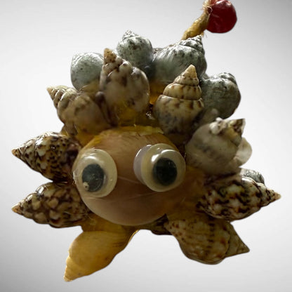 Seashells animals