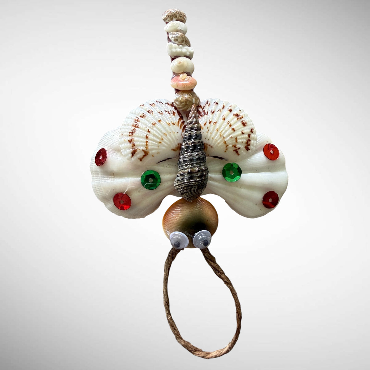 Seashells animals