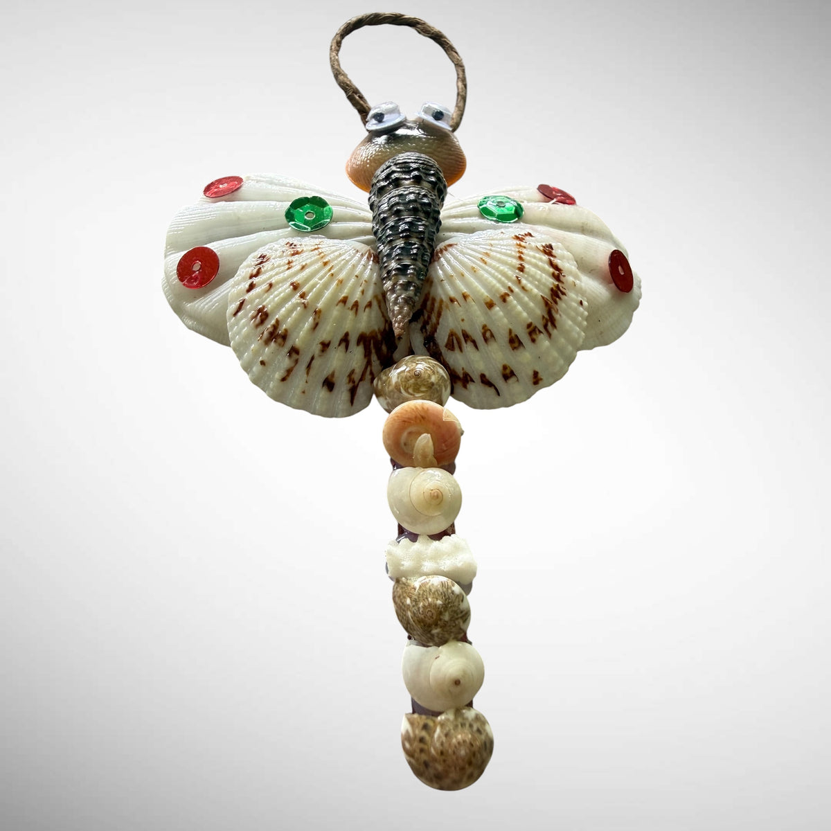 Seashells animals