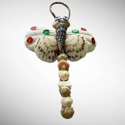 Seashells animals