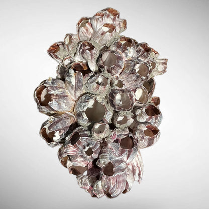 Purple Barnacle Coral Cluster – Natural Reef Specimen
