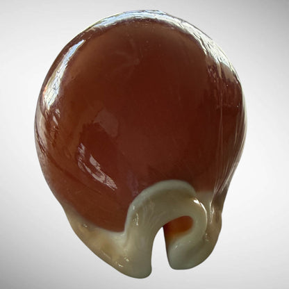 Golden Cowrie Seashell