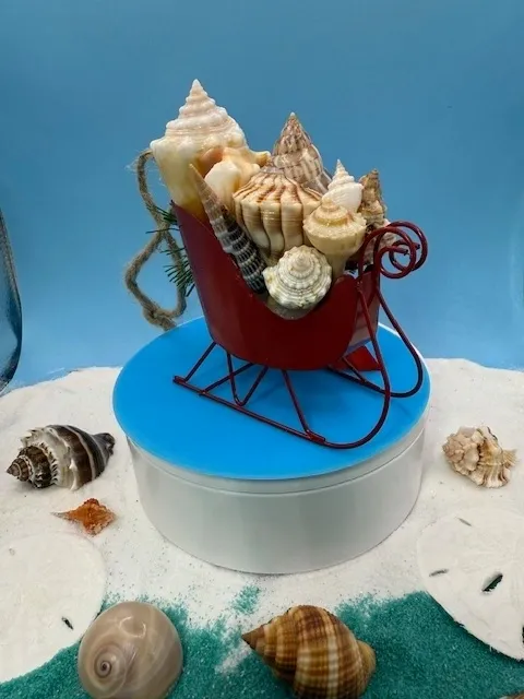 Seashells in a decorative red sleigh