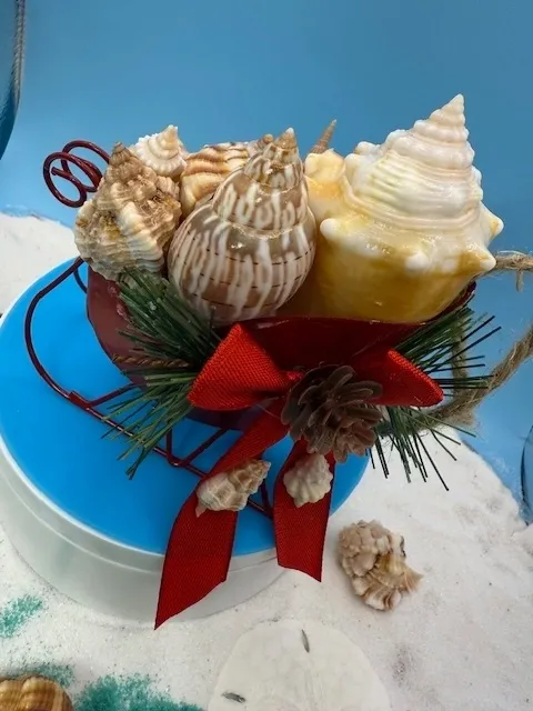 Decorative seashell arrangement on blue background